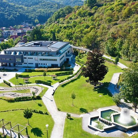 Nuhr Medical - Hotel & Restaurant Senftenberg Εξωτερικό φωτογραφία